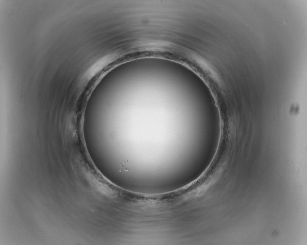 X0000091860970200709051205