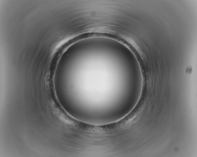 X0000091860971200709051205