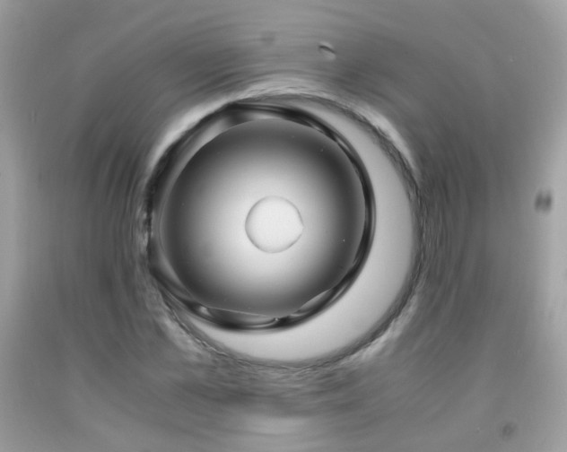 X0000091860973200709051205