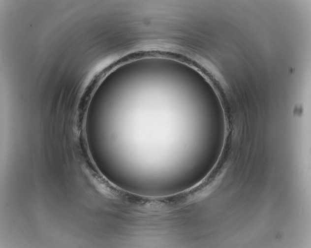 X0000091860974200709051205
