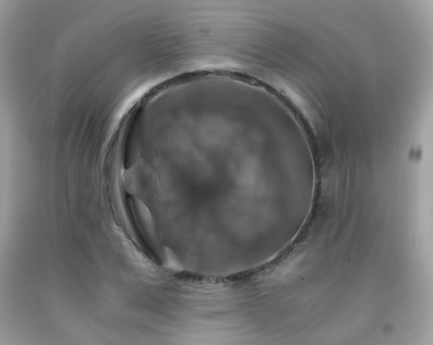 X0000091860975200709051204