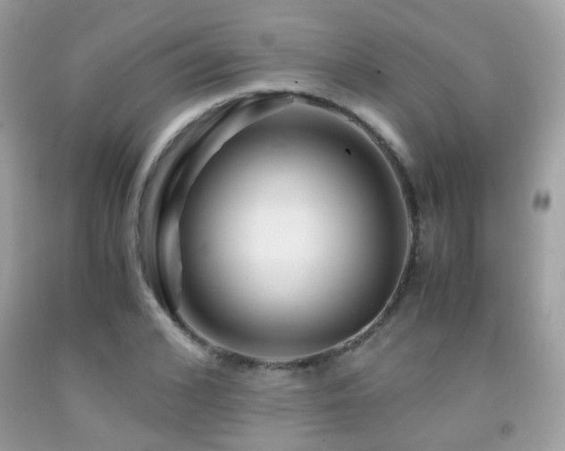 X0000091860976200709051204