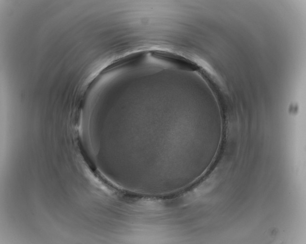 X0000091860977200709051204