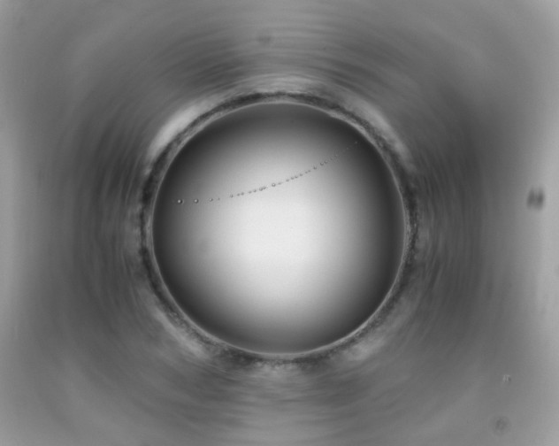 X0000091860978200709051204