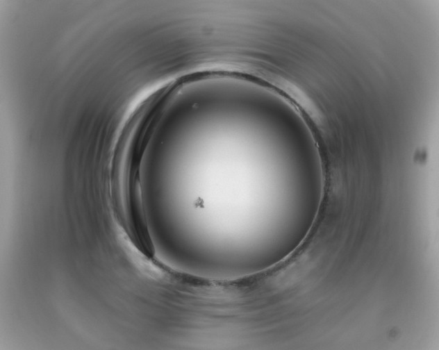 X0000091860980200709051204
