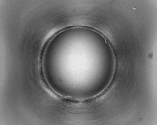 X0000091860982200709051204