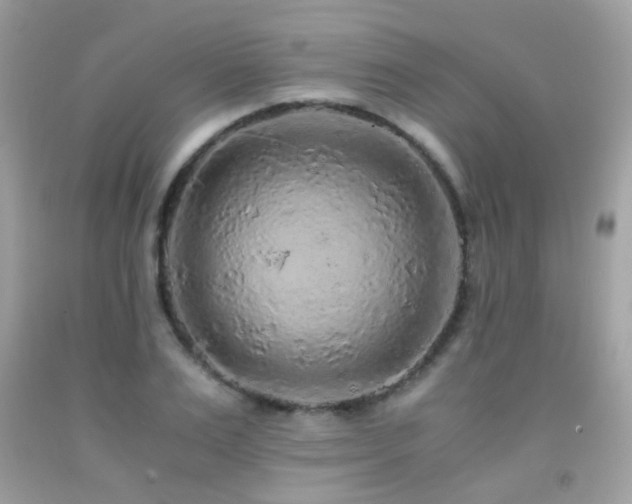 X0000091860983200709051204