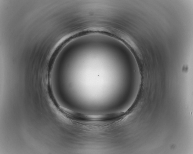X0000091860984200709051204
