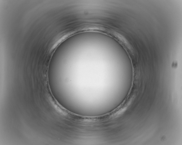 X0000091860985200709051204