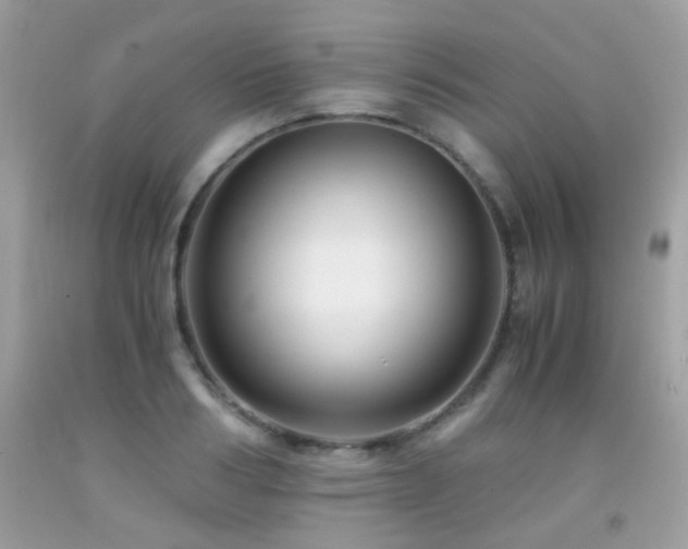 X0000091860986200709051204