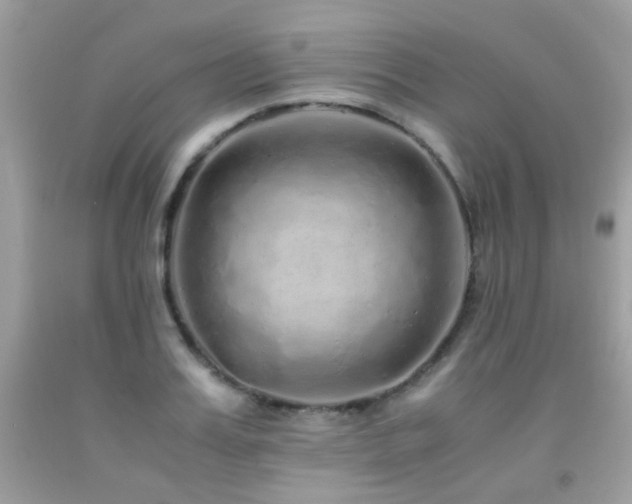 X0000091860987200709051204