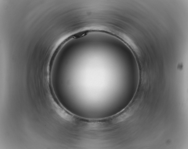 X0000091860988200709051204