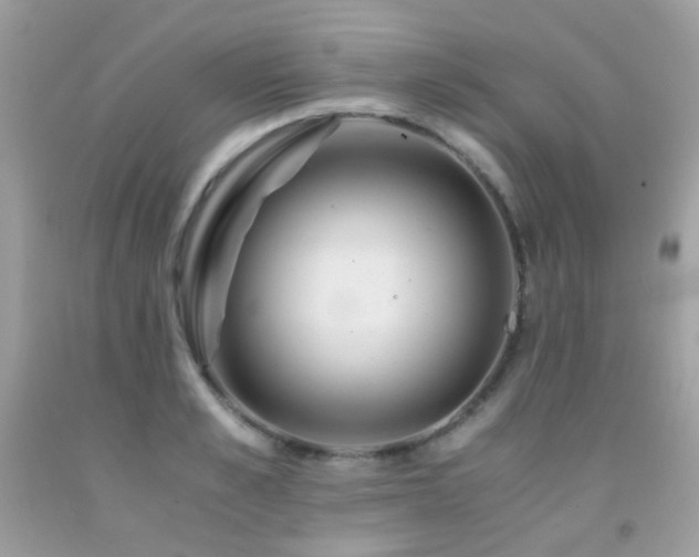 X0000091860989200709051204