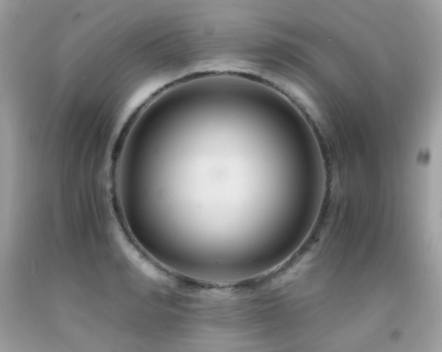 X0000091860990200709051204
