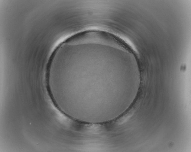 X0000091860991200709051204