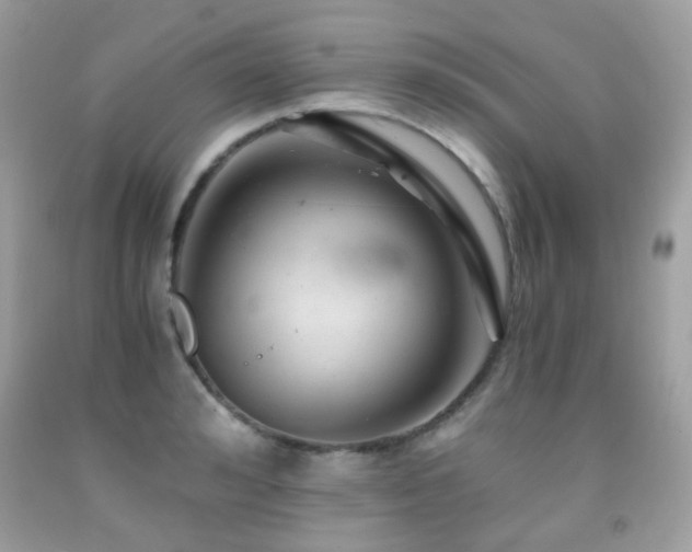 X0000091860992200709051204