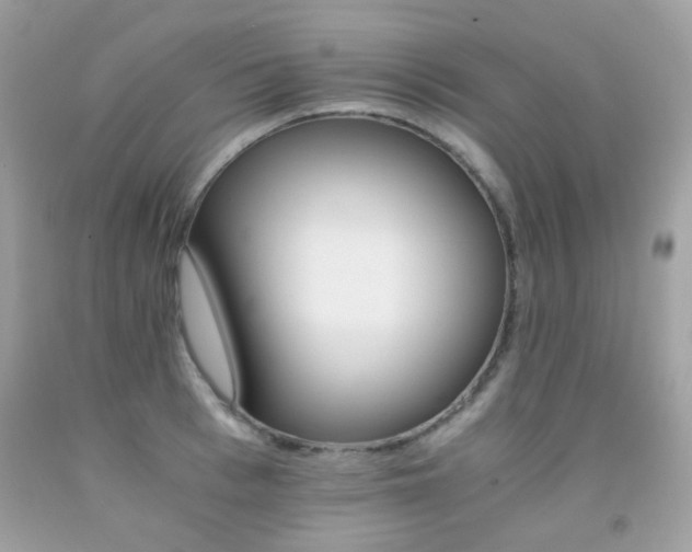 X0000091860993200709051204