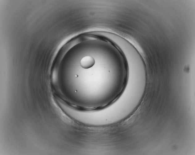 X0000091860996200709051204