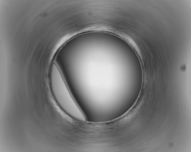 X0000091860997200709051204