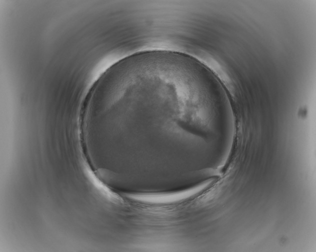 X0000091860998200709051204