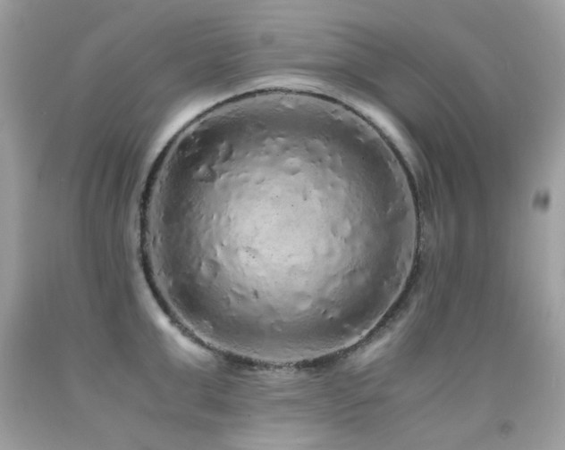 X0000091860999200709051204