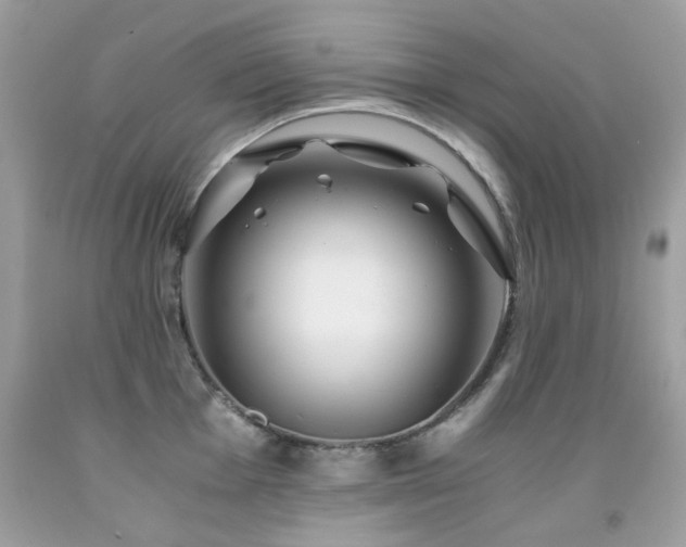 X0000091861001200709051204