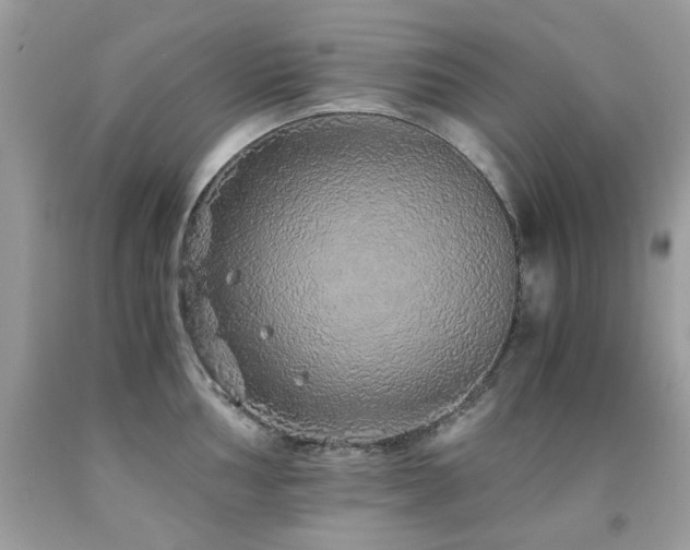 X0000091861002200709051204
