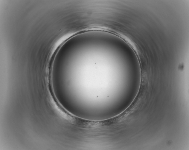 X0000091861003200709051204