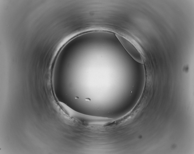X0000091861004200709051204