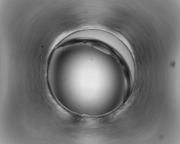 X0000091861005200709051204