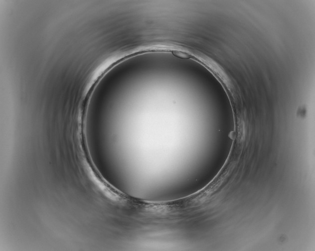 X0000091861006200709051204