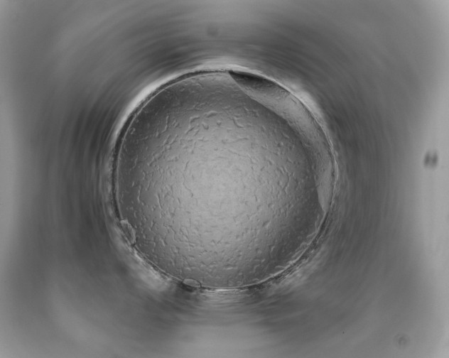 X0000091861008200709051204