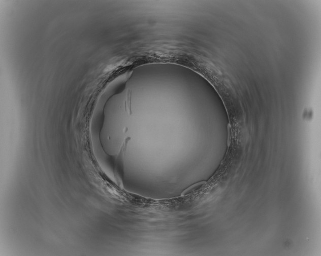 X0000091861009200709051203