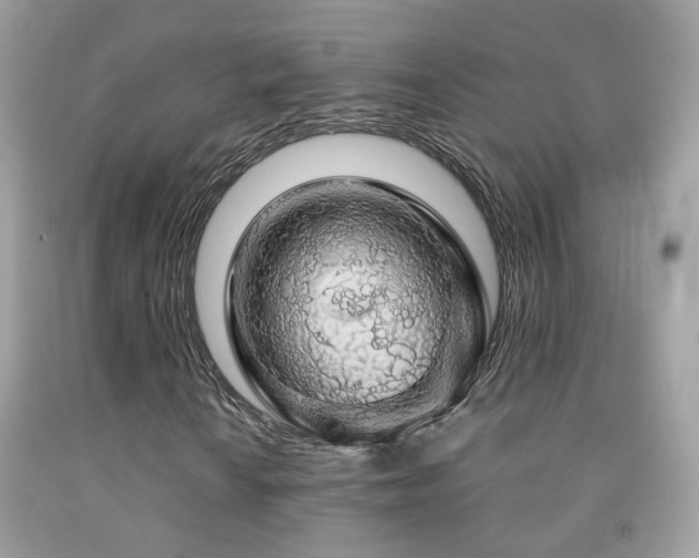 X0000091861010200709051203