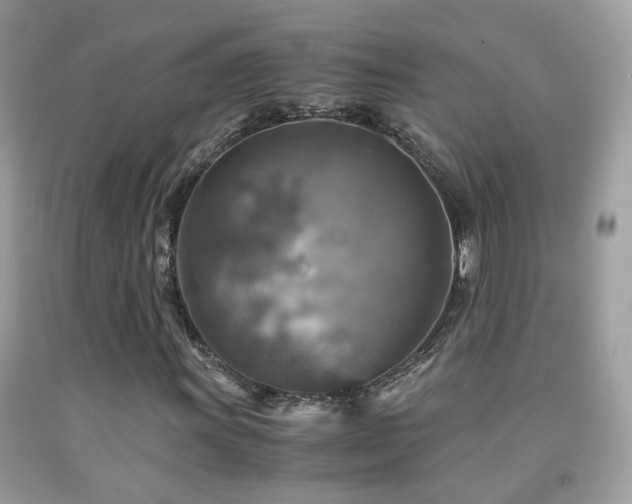 X0000091861011200709051203