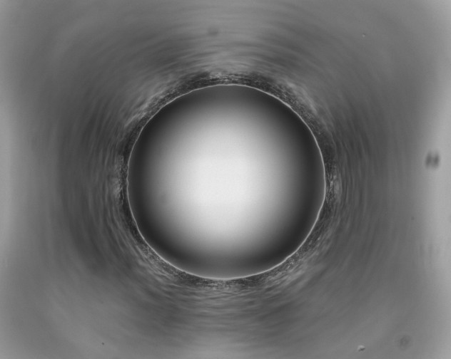 X0000091861012200709051203