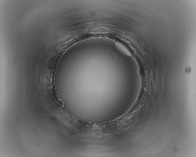 X0000091861013200709051203