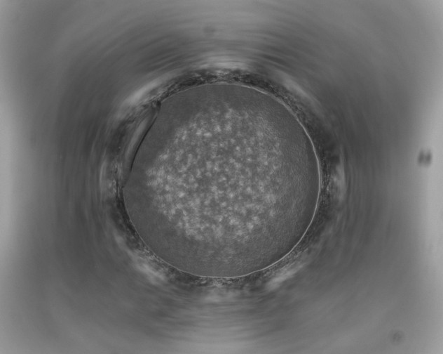 X0000091861014200709051203
