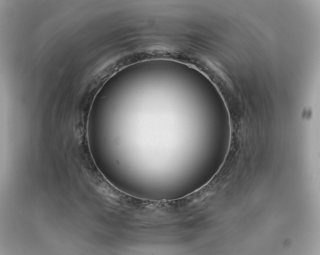 X0000091861015200709051203