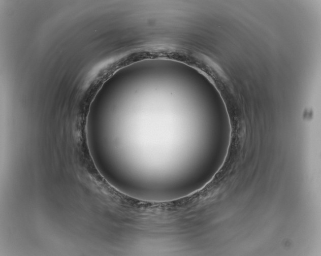 X0000091861016200709051203