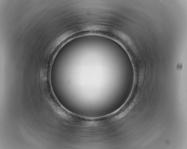 X0000091861017200709051203