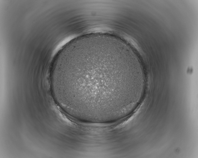 X0000091861018200709051203