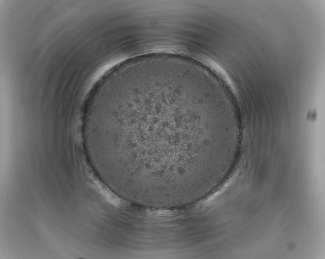 X0000091861019200709051203