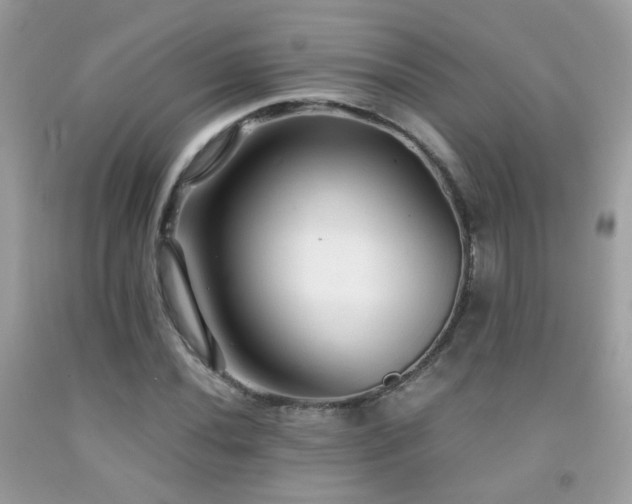X0000091861020200709051203
