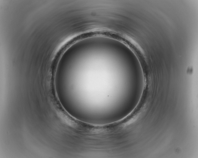 X0000091861021200709051203