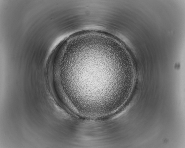 X0000091861022200709051203