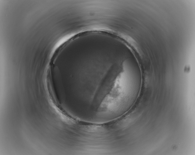 X0000091861024200709051203