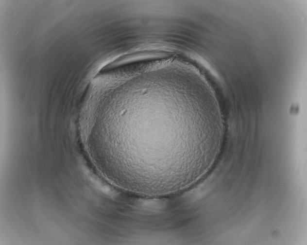 X0000091861025200709051203