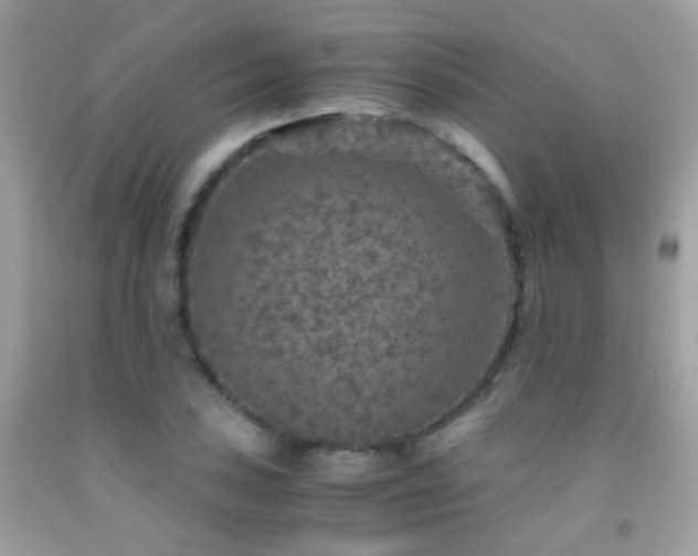 X0000091861027200709051203