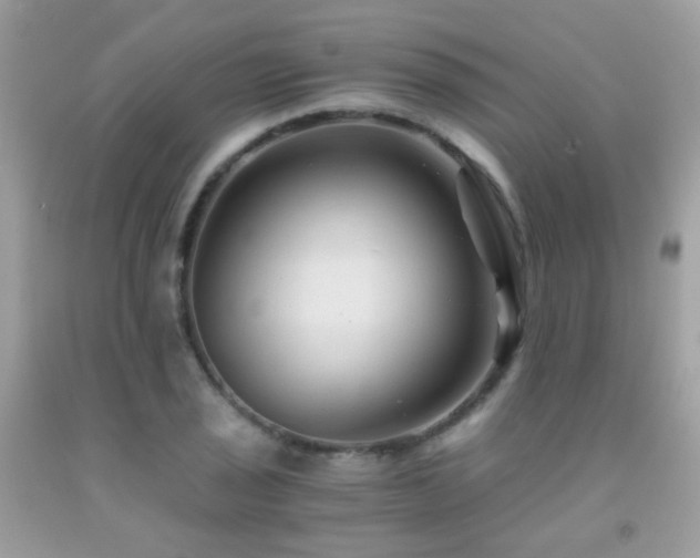 X0000091861029200709051203